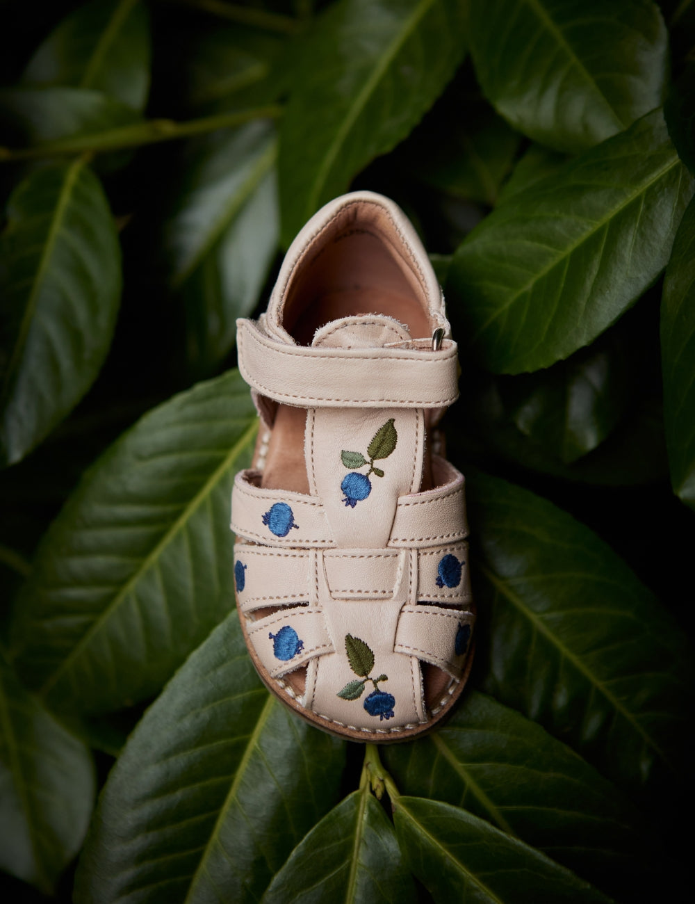 Blueberry Classic sandal - Cream