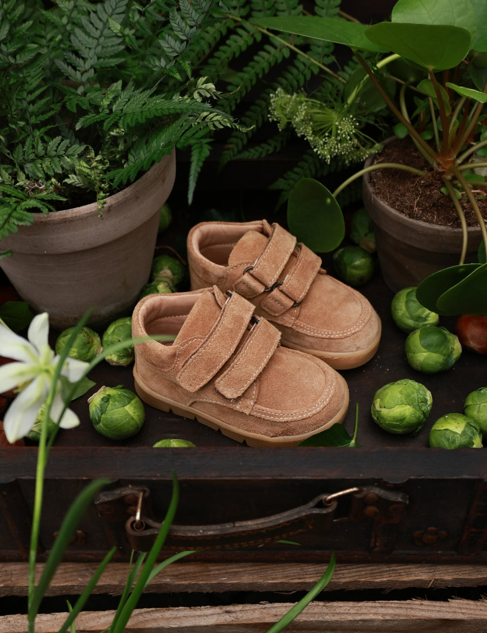 Chubby Cruiser velcro - Sahara Suede