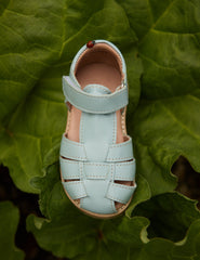 Classic Sandal - Ocean